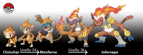 infernape evolution level